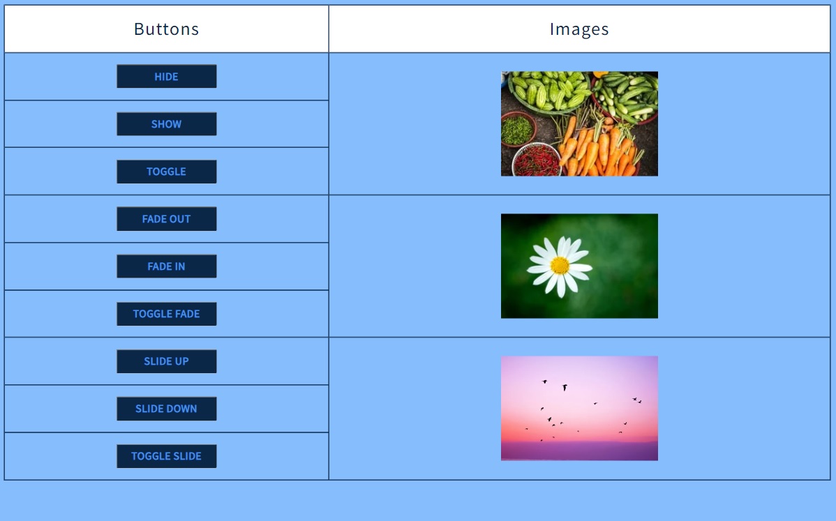 Photo of the jQuery Interactive Table